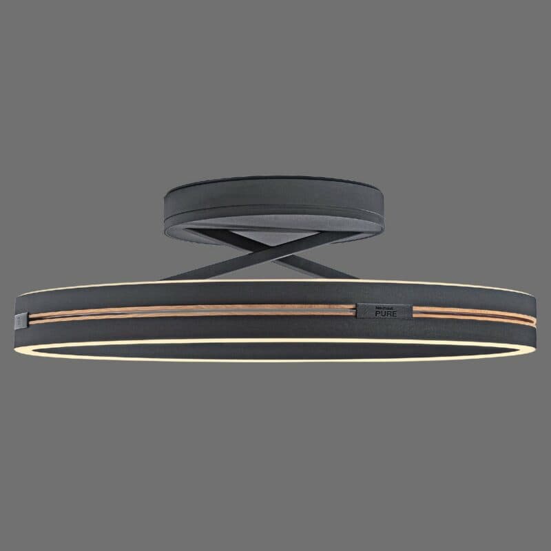 Paul Neuhaus Deckenleuchte Pure Loop