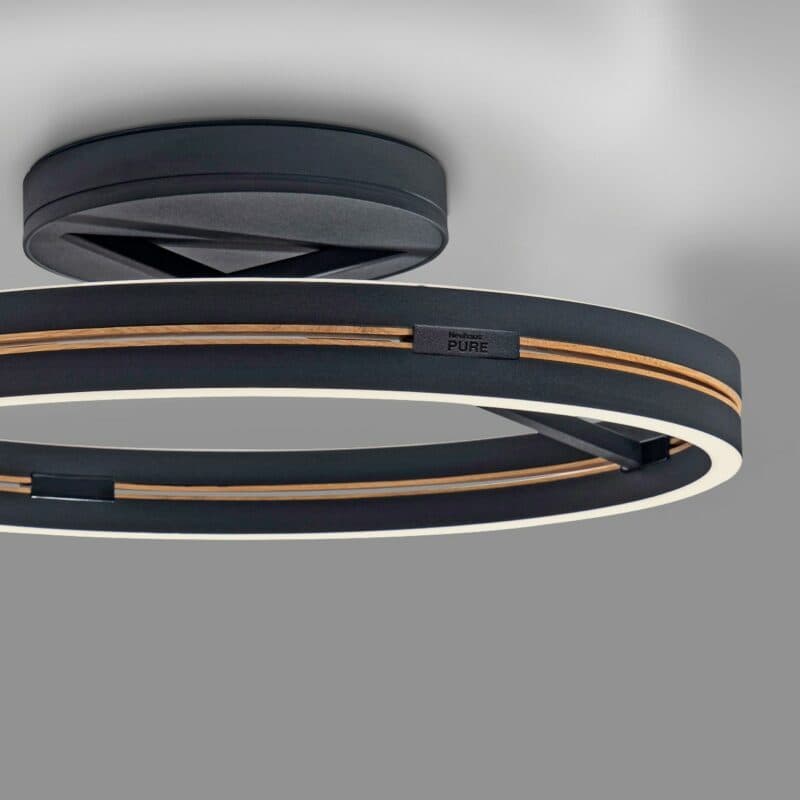 Paul Neuhaus Deckenleuchte Pure Loop