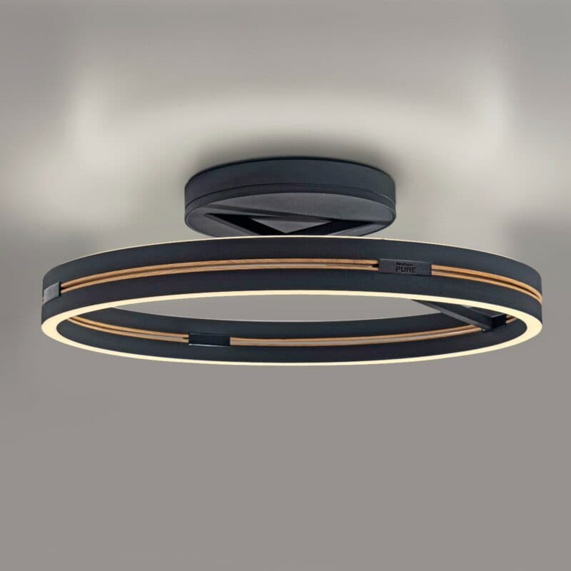Paul Neuhaus Deckenleuchte Pure Loop