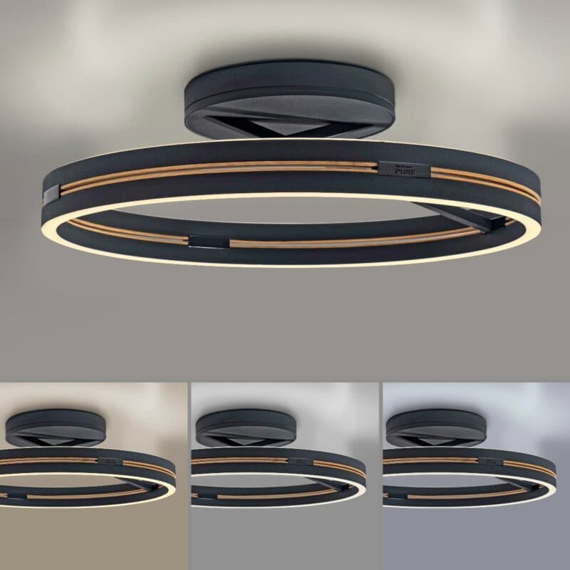 Paul Neuhaus Deckenleuchte Pure Loop Beispiel Warmweiß/Kaltweiß