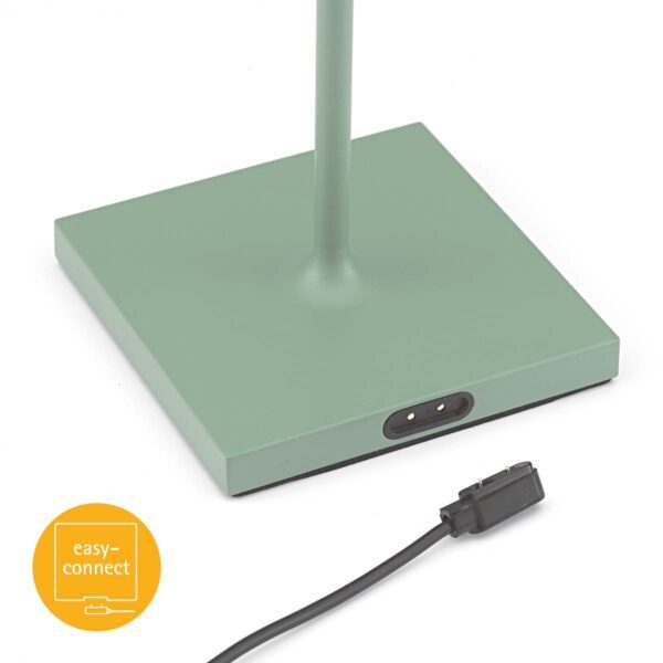 Sigor Akkutischleuchte Nuindie mini Salbeigrün magnetischer Easy-Connect-USB-Stecker