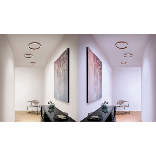 Occhio Wand- und Deckenleuchte Mito soffitto up - Deckenleuchten Innen