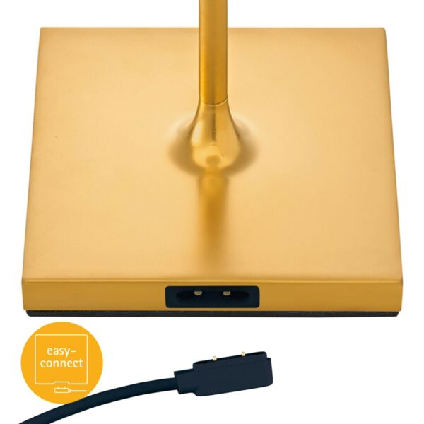 Sigor Akkutischleuchte Nuindie mini Gold eloxiert magnetischer Easy-Connect-USB-Stecker